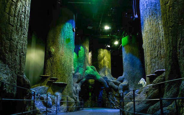 Harry Potter Forbidden Forest set at Warner Bros. Studio Tour London.