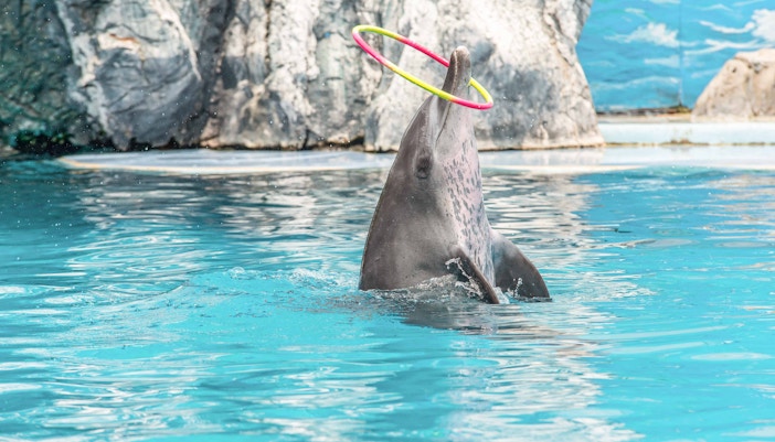 Safari World Bangkok tours