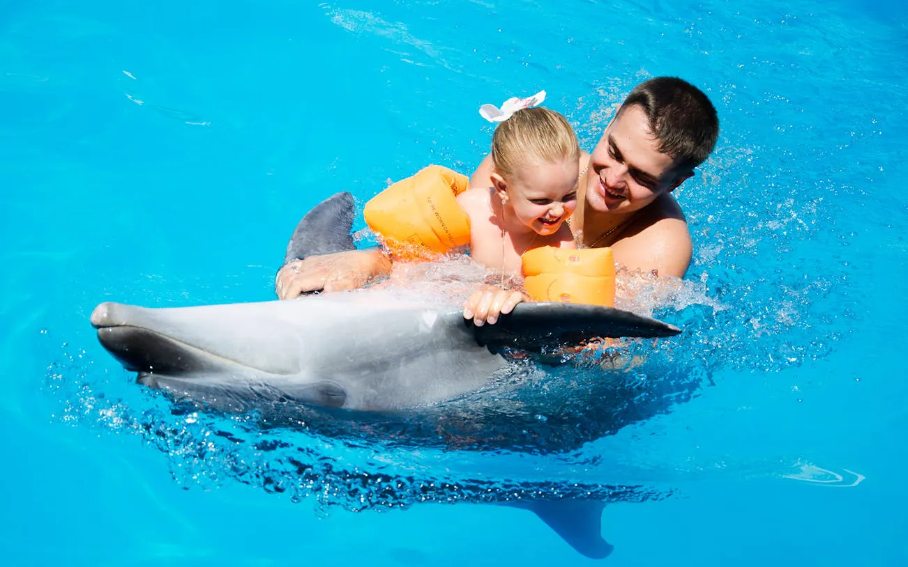 premium 10 minutes dolphin swimming experience - hurghada-8