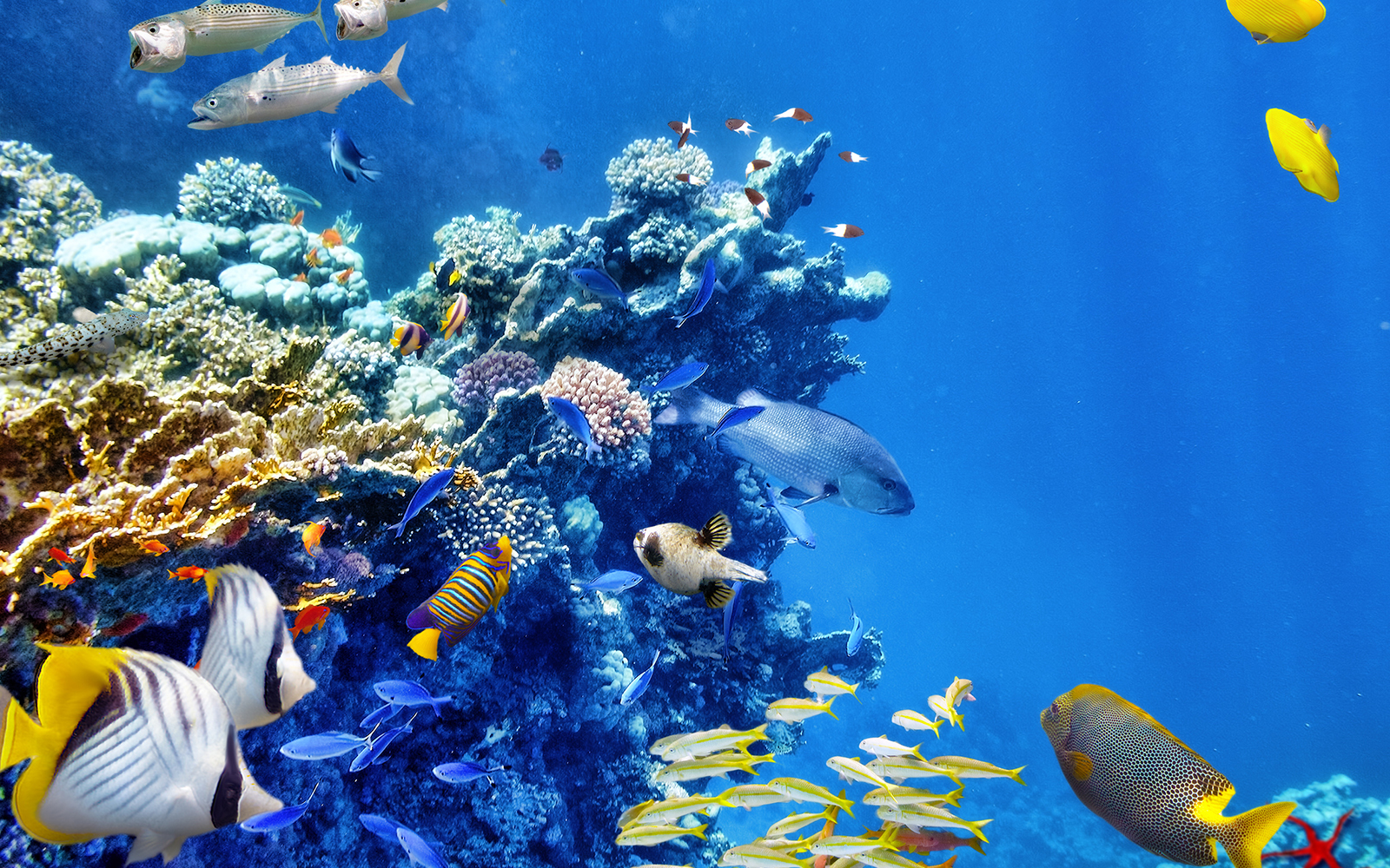 Hurghada Marine Museum and Aquarium