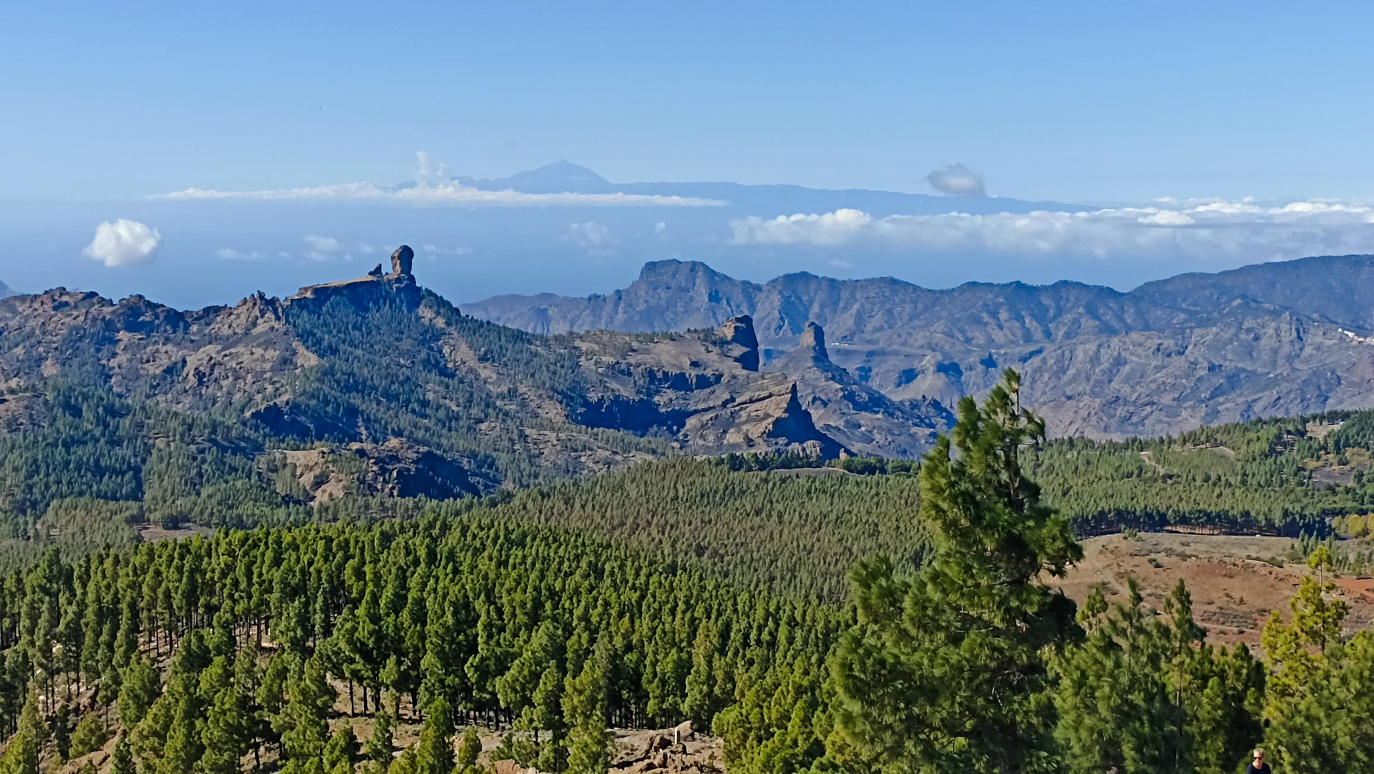 Gran Canaria Volcanoes & Wine Private Tour