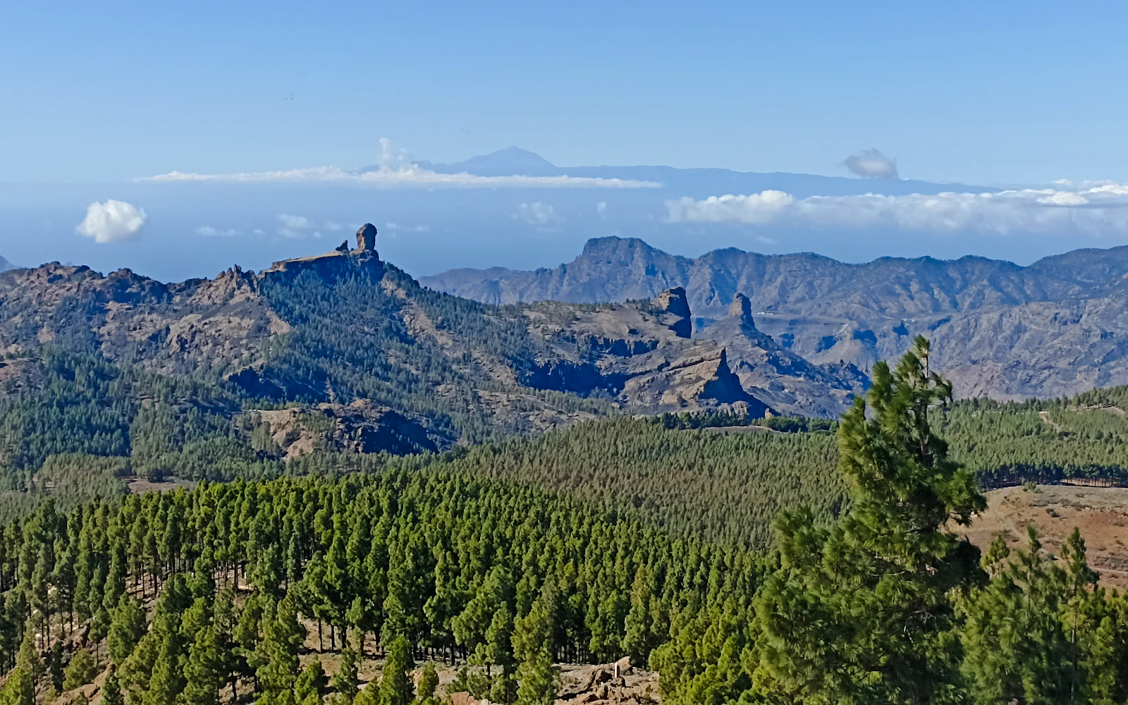 Gran Canaria Volcanoes & Wine Private Tour