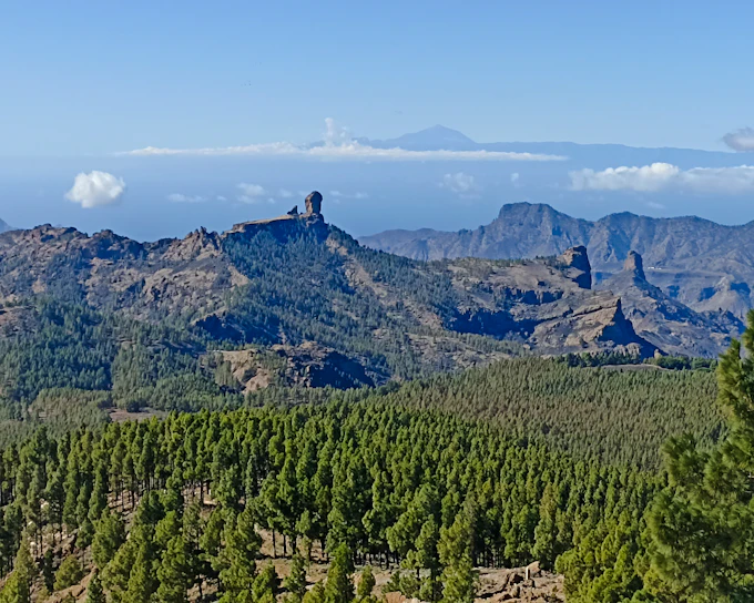 Gran Canaria Volcanoes and Wine Private Tour with Winery Visit and Tasting (Product 54525)