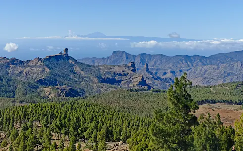 gran canaria volcanoes and wine private tour with winery visit and tasting-1