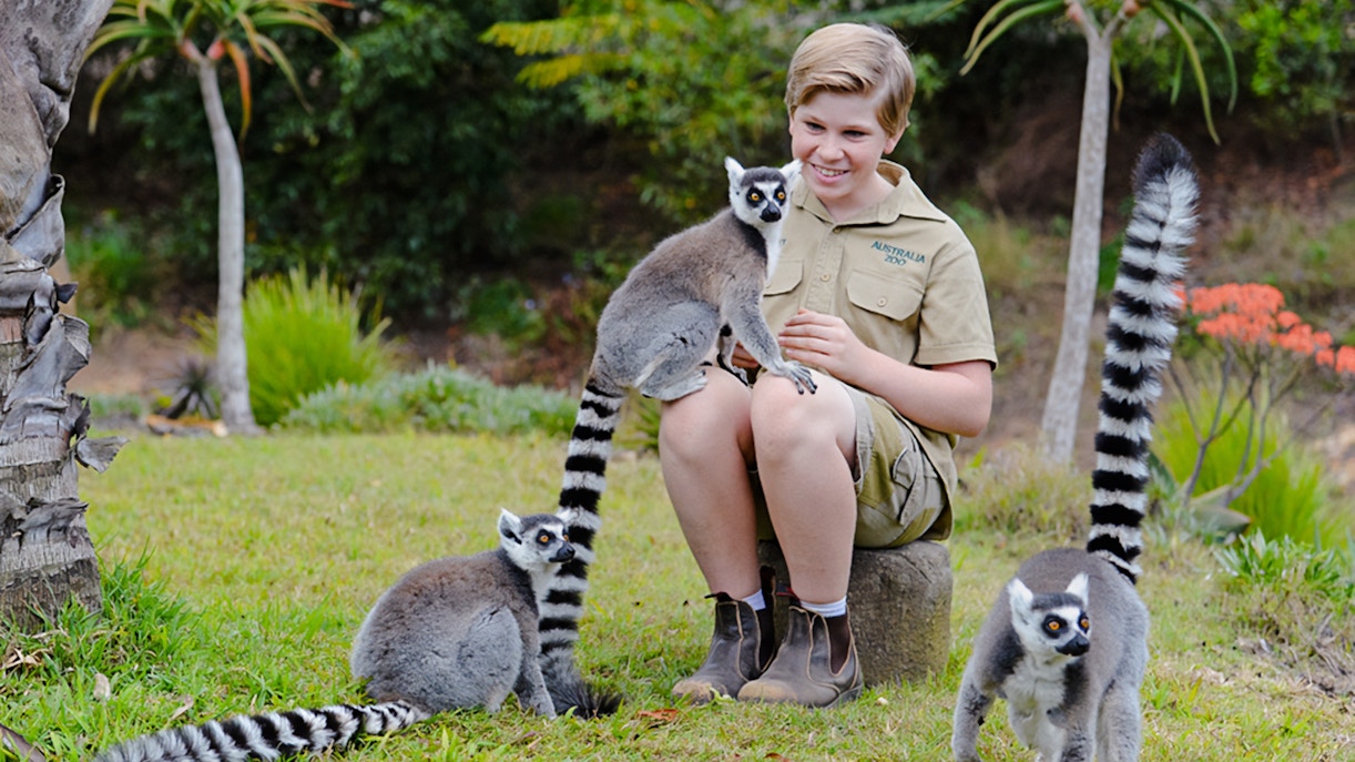 Irwin family member interacting with a lemur at Australia Zoo.
