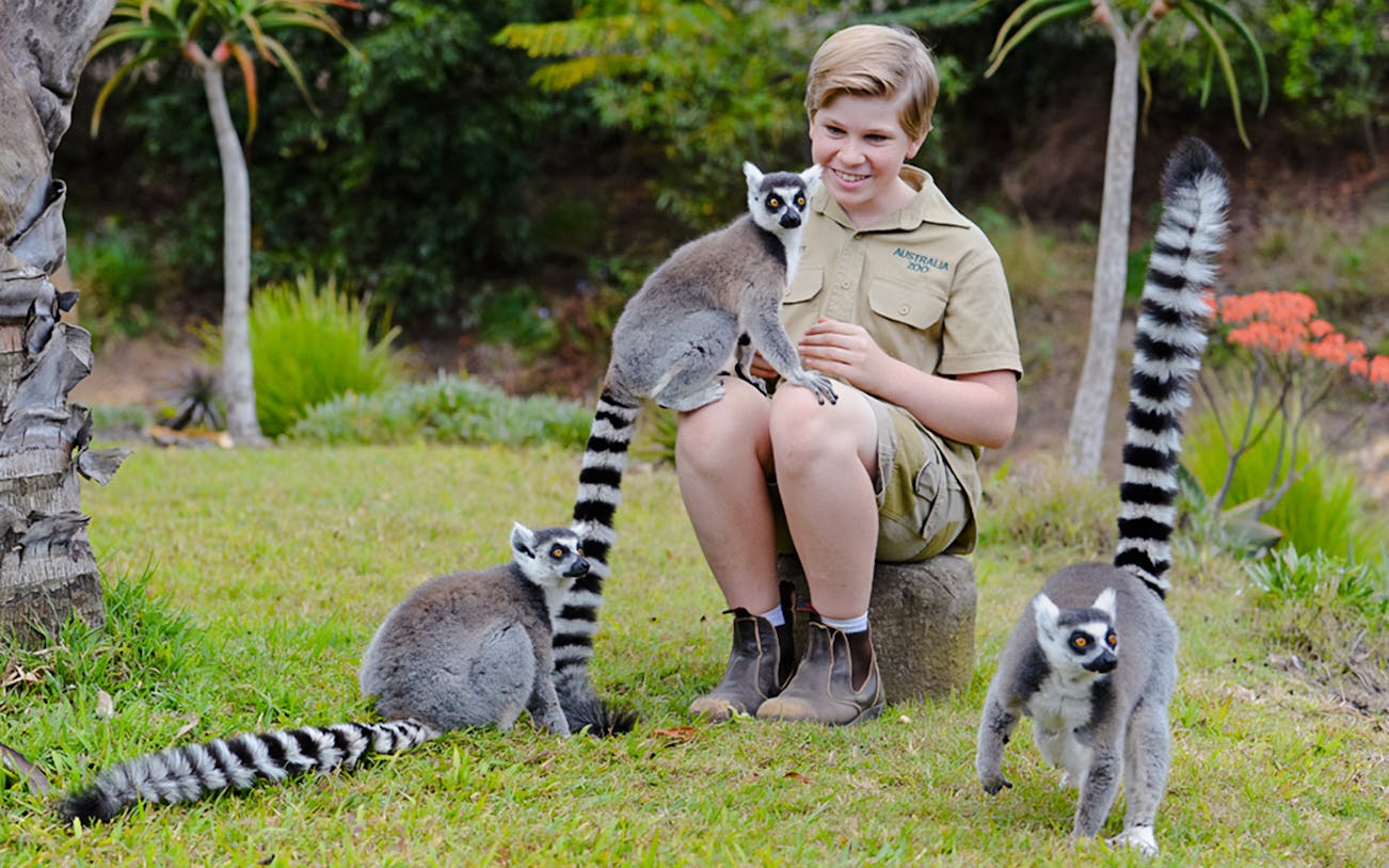 Irwin family member interacting with a lemur at Australia Zoo.