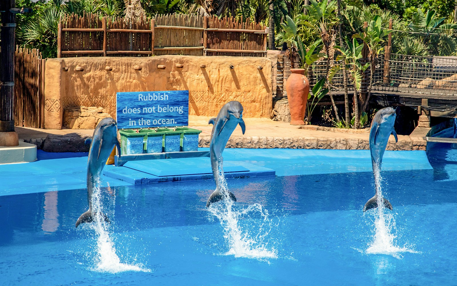 Swimming dolphins performing at a show in a marine park, showcasing acrobatics and synchronized movements.