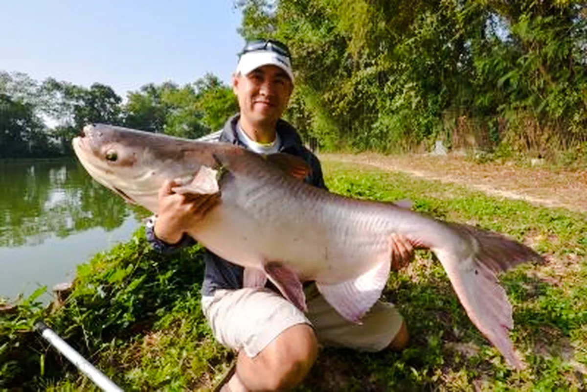 Chiang Mai Big-Game Fishing Experience with Transfers