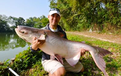 Chiang Mai Big-Game Fishing Experience with Transfers