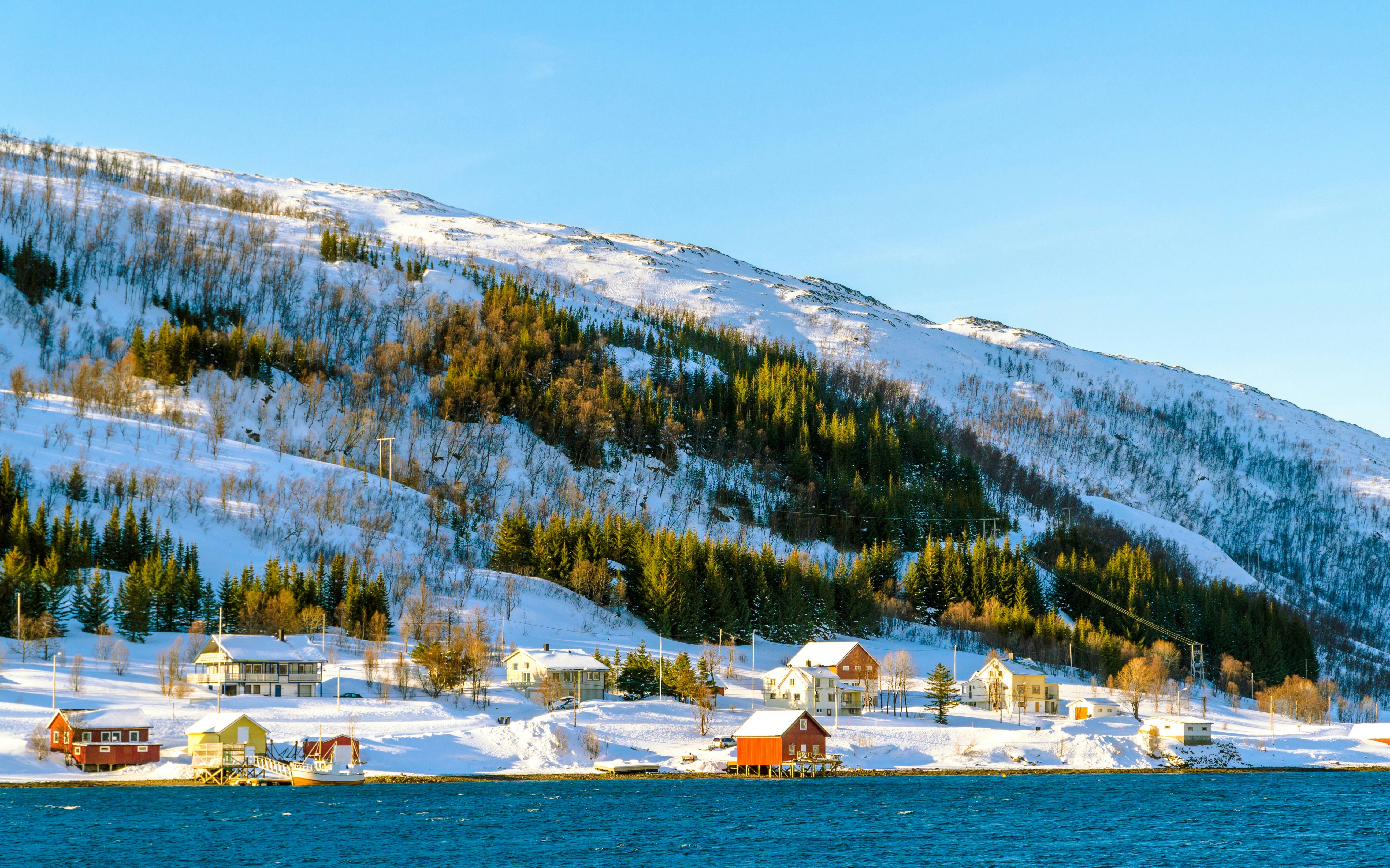 Snow-covered houses along the coast in Kvaløya, Tromso with forested hills in the background.
