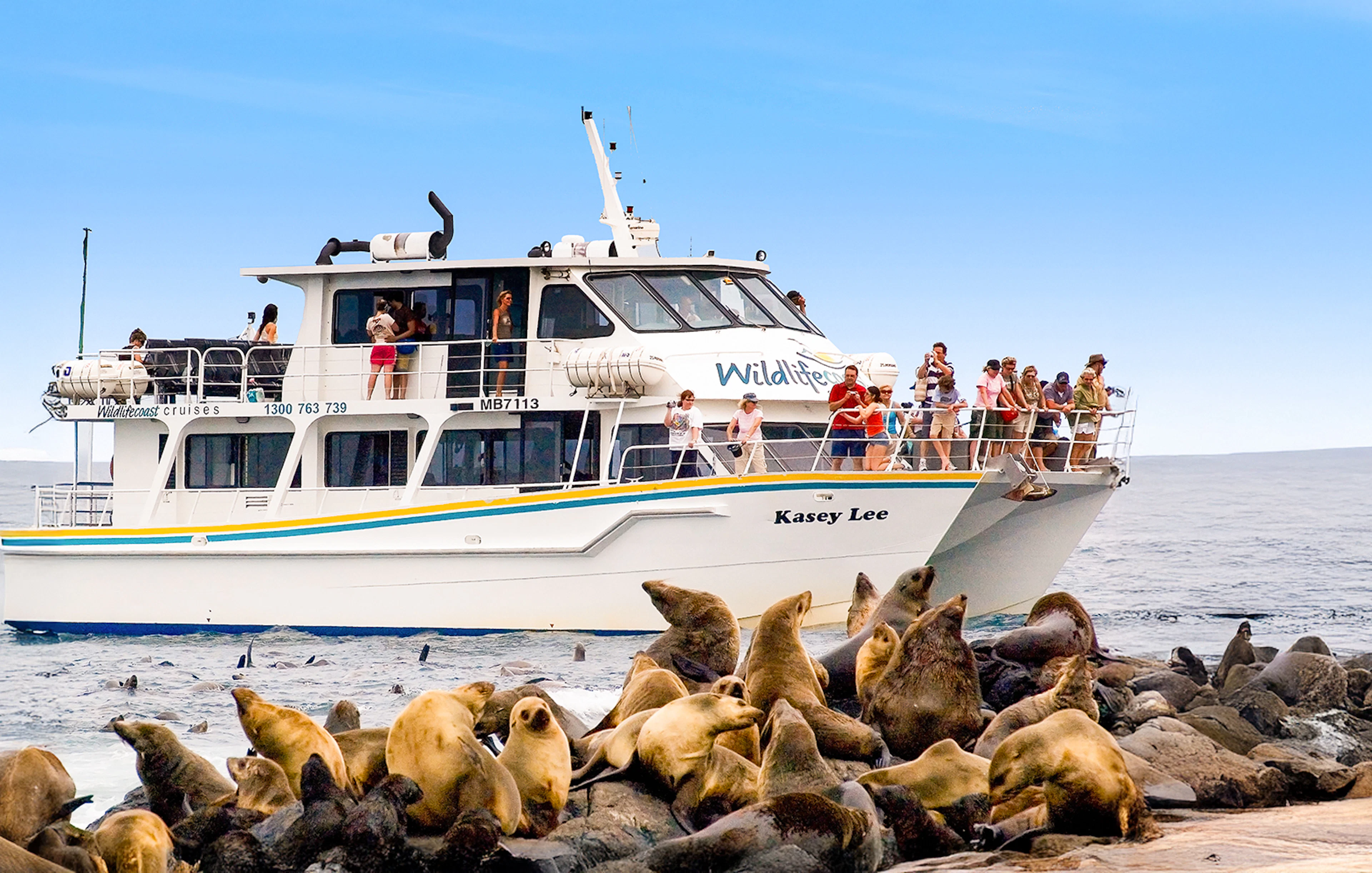 Tourists on a boat watching seals on rocks during a cruise at Phillip Island.