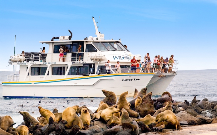 Tourists on a boat watching seals on rocks during a cruise at Phillip Island.
