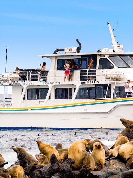 Tourists on a boat watching seals on rocks during a cruise at Phillip Island.