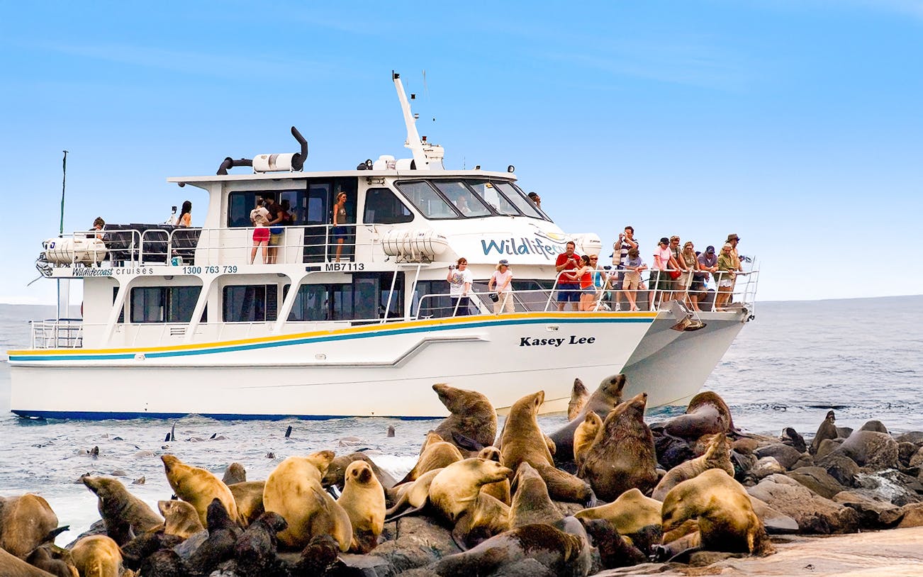 Tourists on a boat watching seals on rocks during a cruise at Phillip Island.