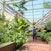 Jardín botánico de la Universidad de Viena