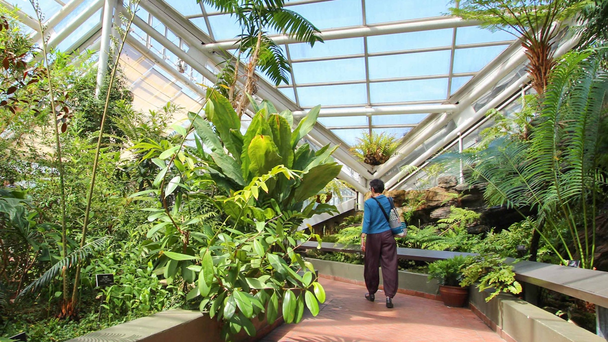 New York Botanical Garden