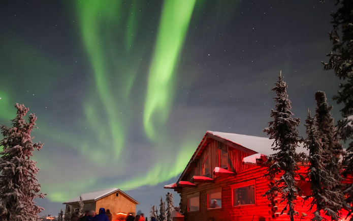 Aurora Borealis over lodge with snowy trees, Northern Lights Alaska.