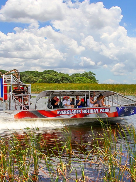 Everglades airboat with tourists gliding through wetlands, Miami tour.
