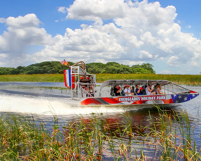 Miami: Airboat Tour with Wildlife Show & Transportation from Miami