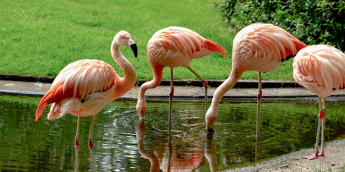 Warsaw Zoo