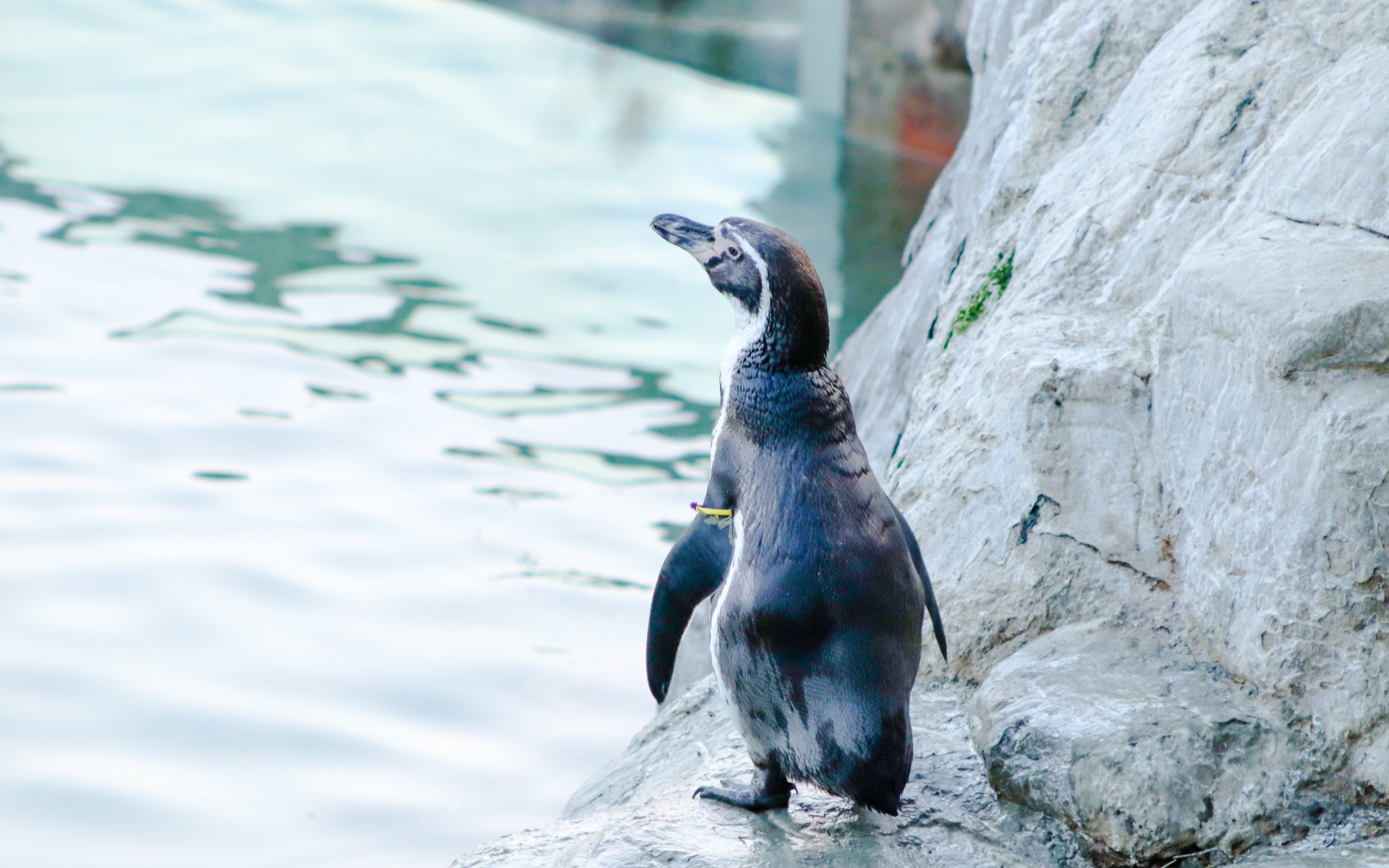 Zoológico Nacional de Chile