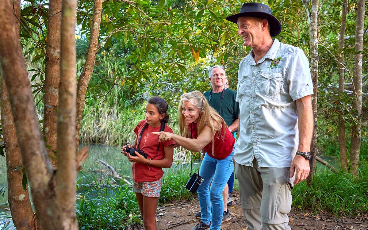 8-hour rainforest wildlife guided night tour from cairns-6 8-hour rainforest wildlife guided night tour from cairns-6