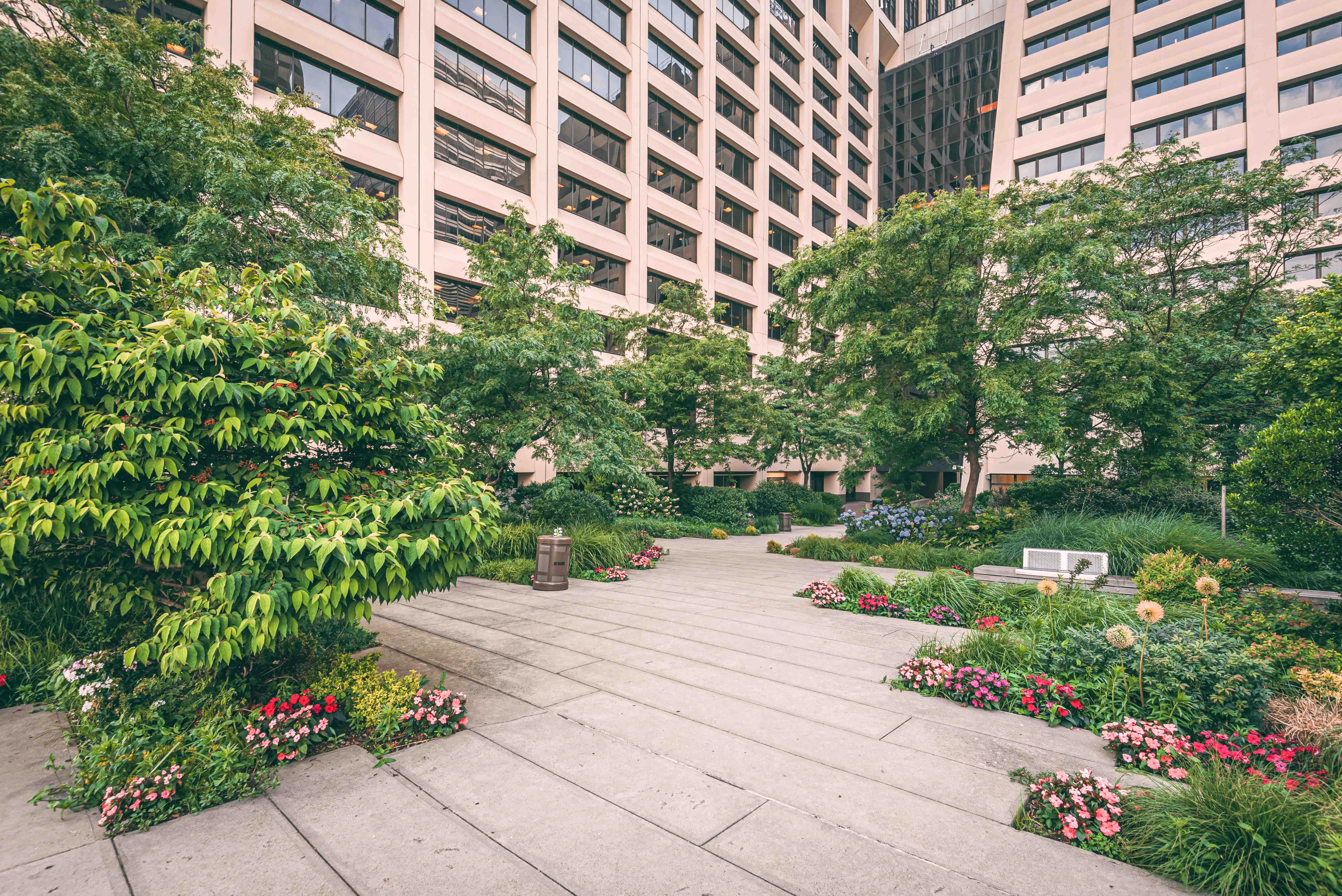 Urban garden with lush greenery and flowers at The Elevated Acre, New York City.