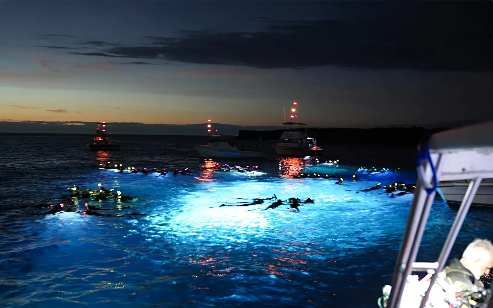 Snorkelers in illuminated water during Kona Manta Ray Night Snorkel on Big Island tour.