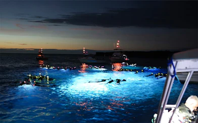 Snorkelers in illuminated water during Kona Manta Ray Night Snorkel on Big Island tour.