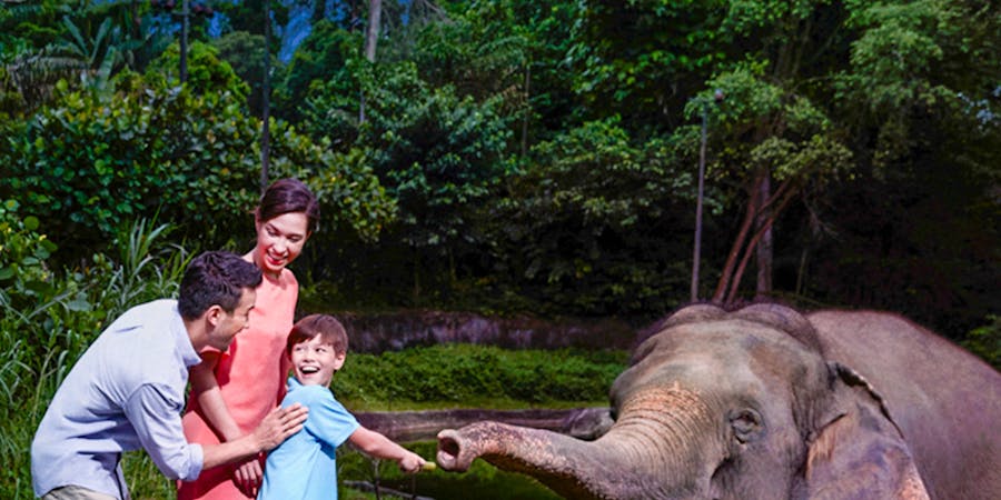 Singapore in June - walking tour