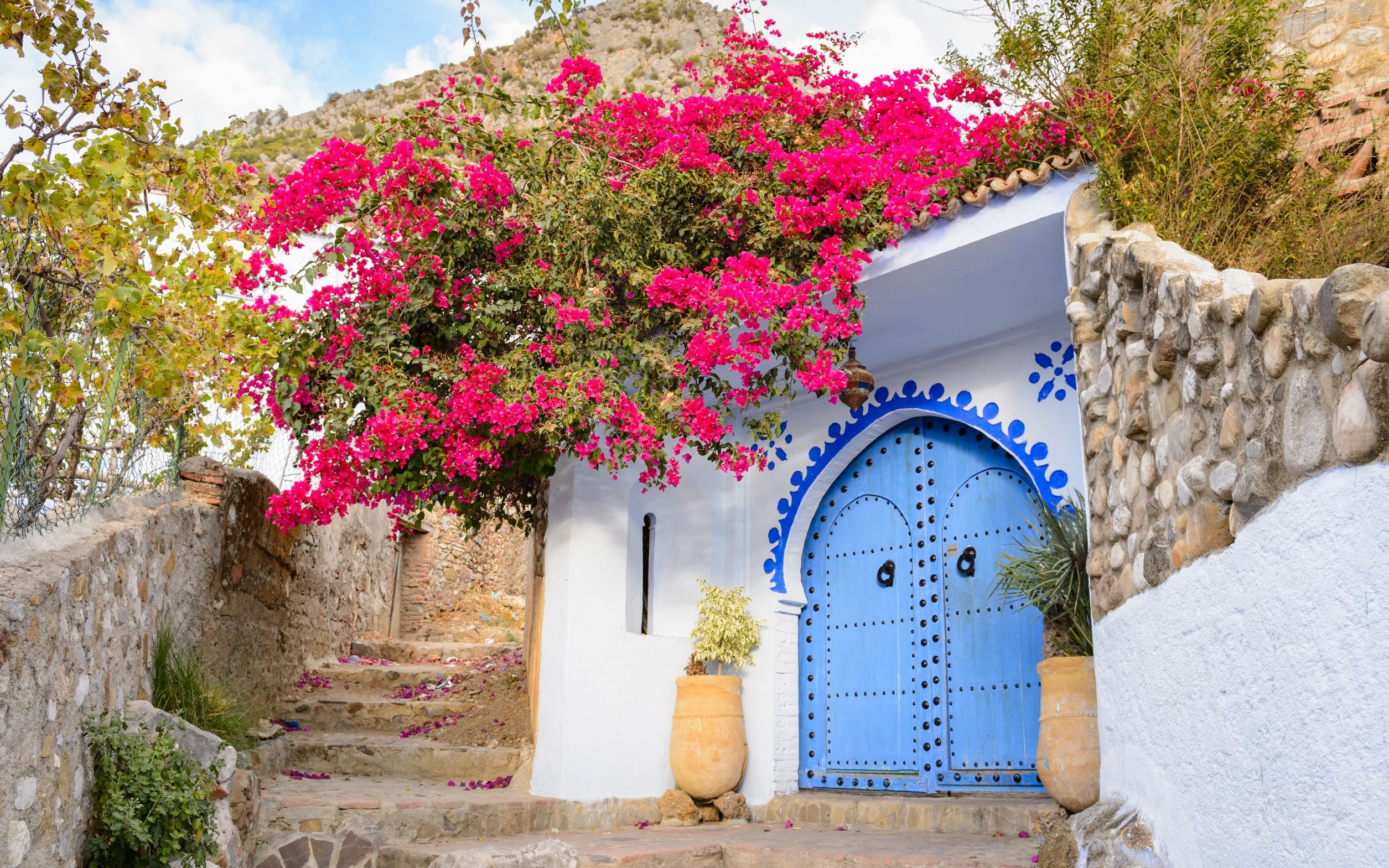 Blue door with pink flowers in Chefchaouen, Morocco.