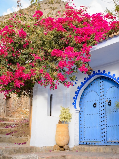 Blue door with pink flowers in Chefchaouen, Morocco.