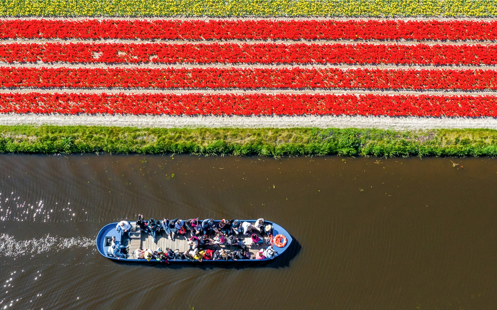 Whisper boat on canal near tulip fields at Keukenhof Gardens, Amsterdam.