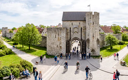 visby özel yürüyüş turu: katedral ve bahçeler-1
