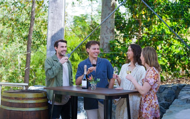 Group enjoying wine tasting at an outdoor winery tour.