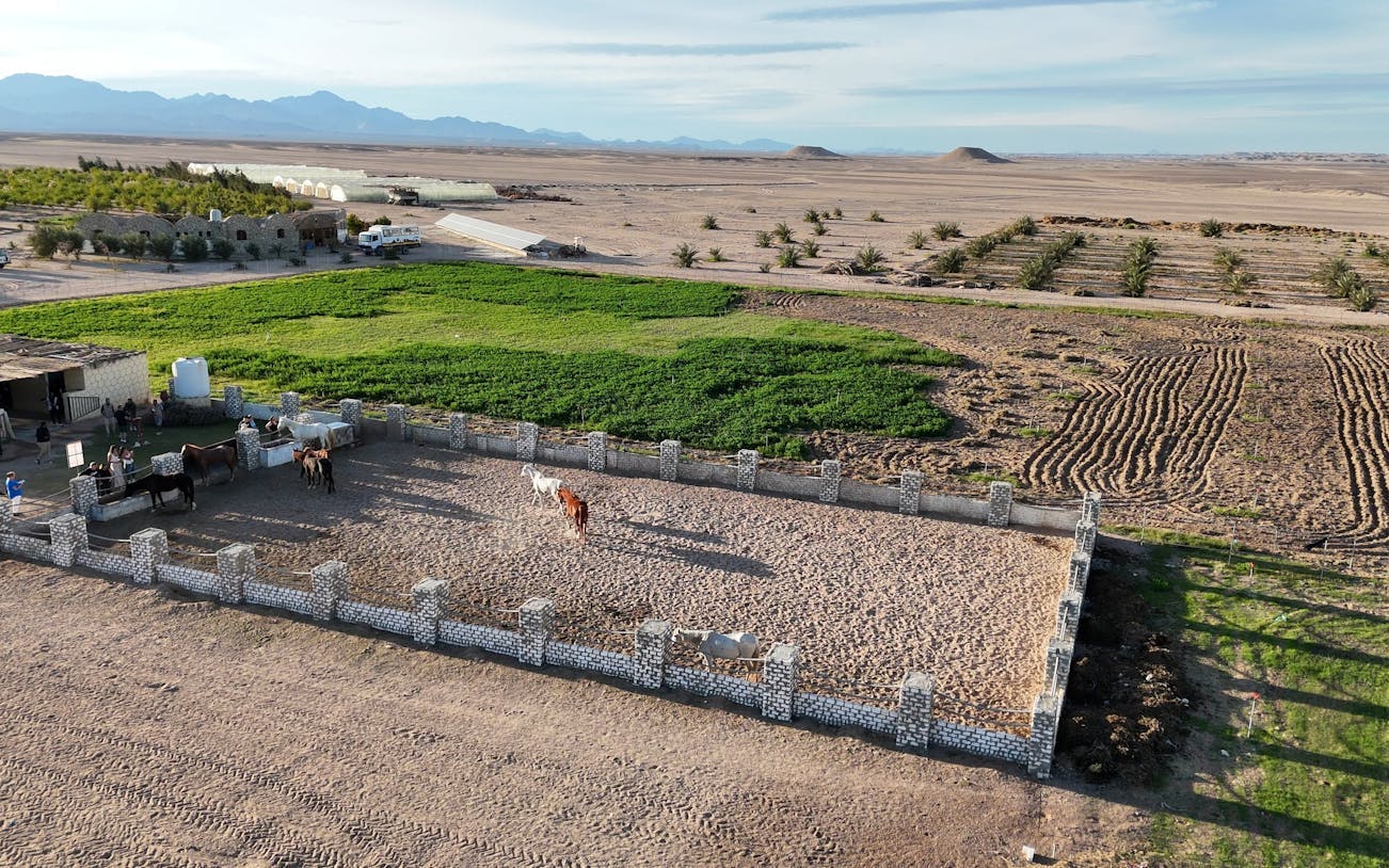 premium sternbeobachtung, jeep-tour, beduinen-abendessen und kamelreiten - hurghada-3