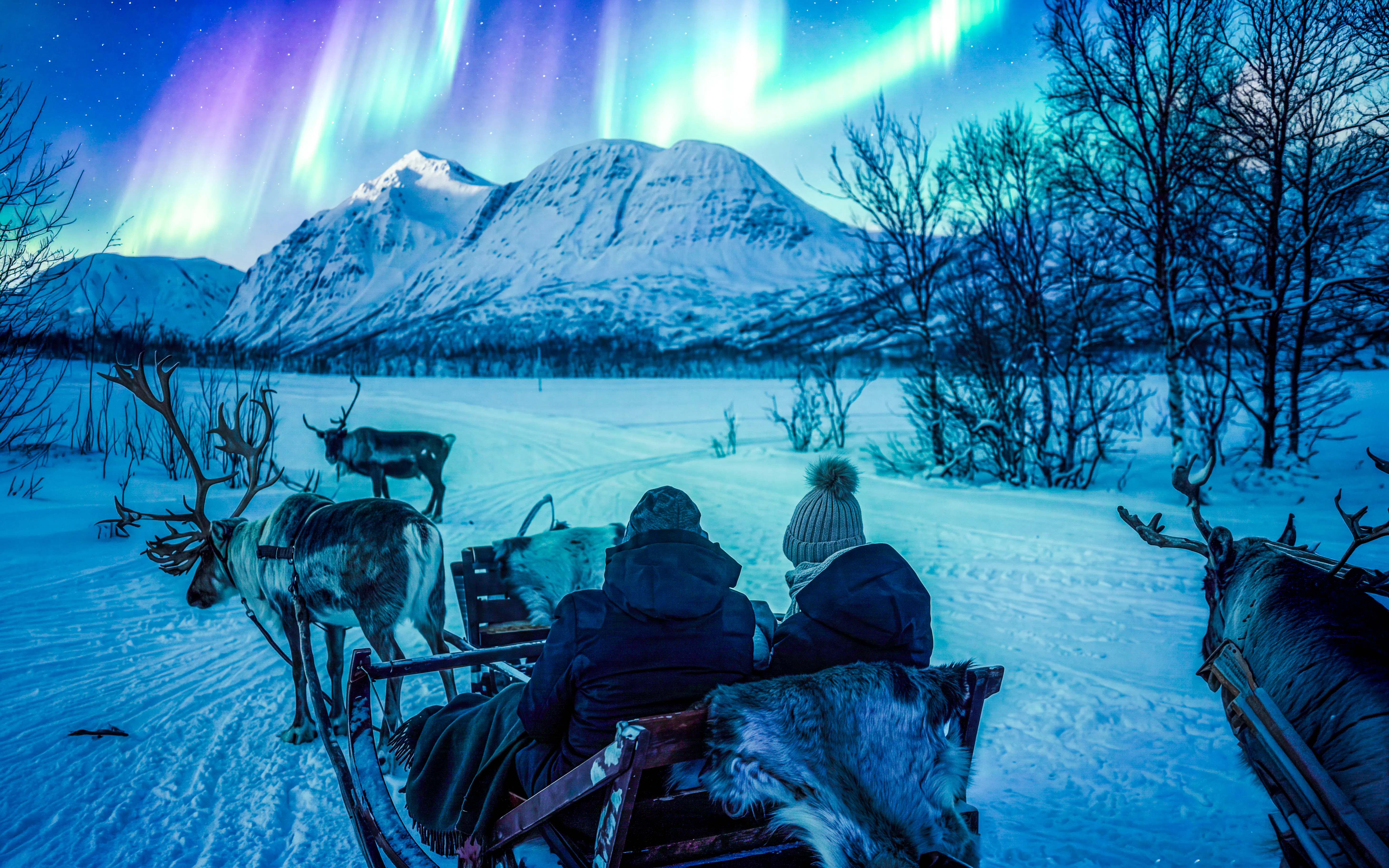 Reindeer sledding under Northern Lights in Tromso, Norway.