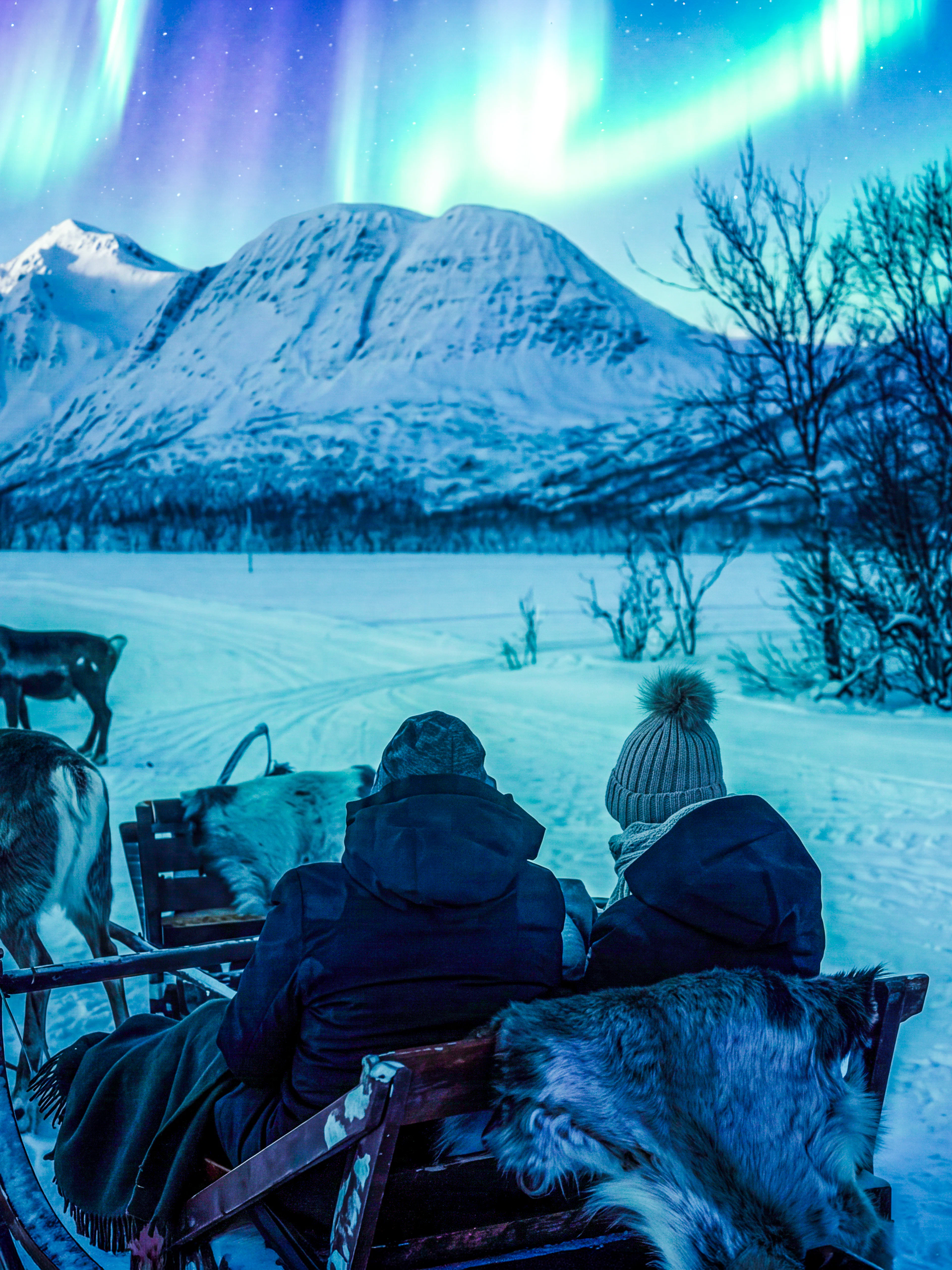 Reindeer sledding under Northern Lights in Tromso, Norway.