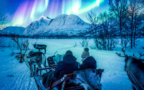 Reindeer sledding under Northern Lights in Tromso, Norway.