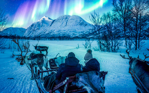 Tromso: Northern Lights, Reindeer and Sami Experiences