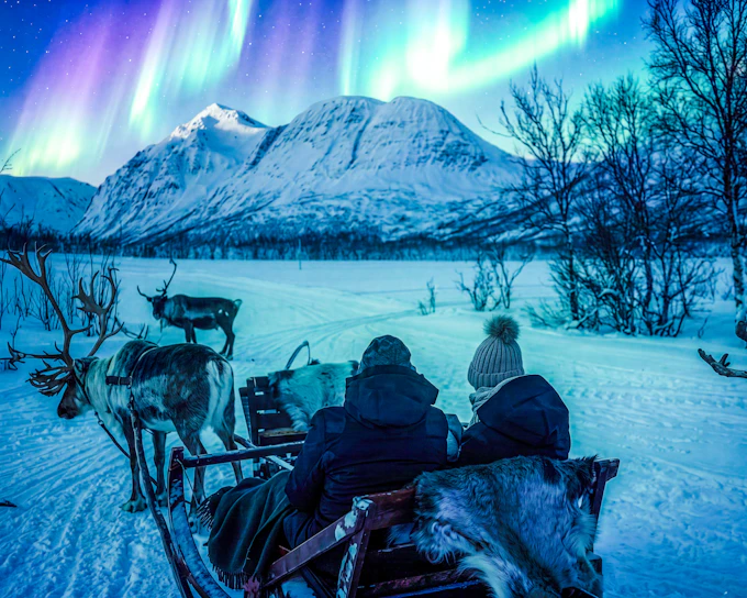 Tromso: Northern Lights, Reindeer and Sami Experiences