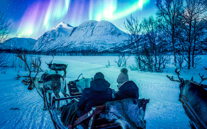 Reindeer sledding under Northern Lights in Tromso, Norway.