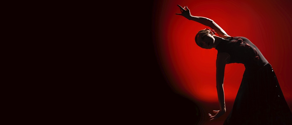 Flamenco Show Madrid