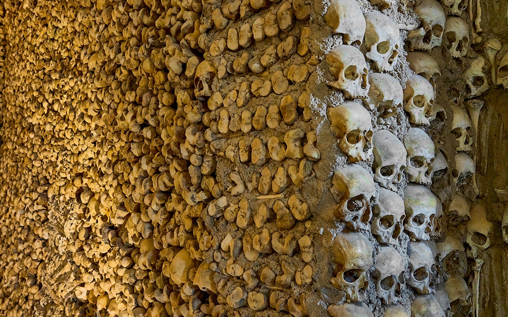Bones and skulls arranged in catacombs wall.