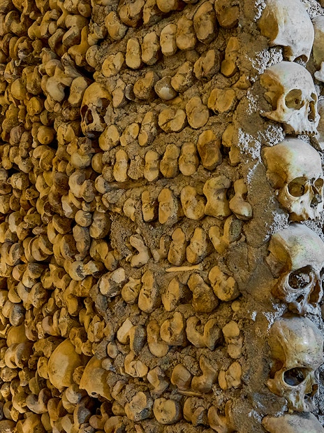 Bones and skulls arranged in catacombs wall.
