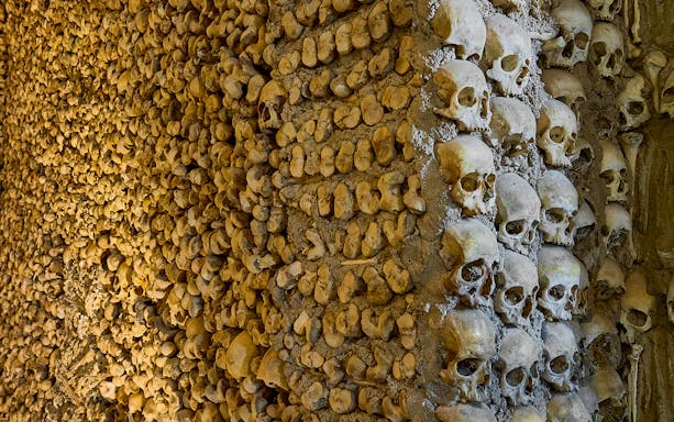 Bones arranged in Paris Catacombs forming intricate patterns.