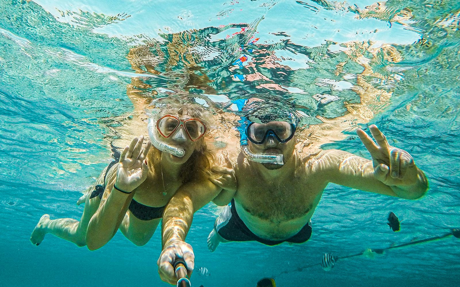 Snorkelers exploring underwater life