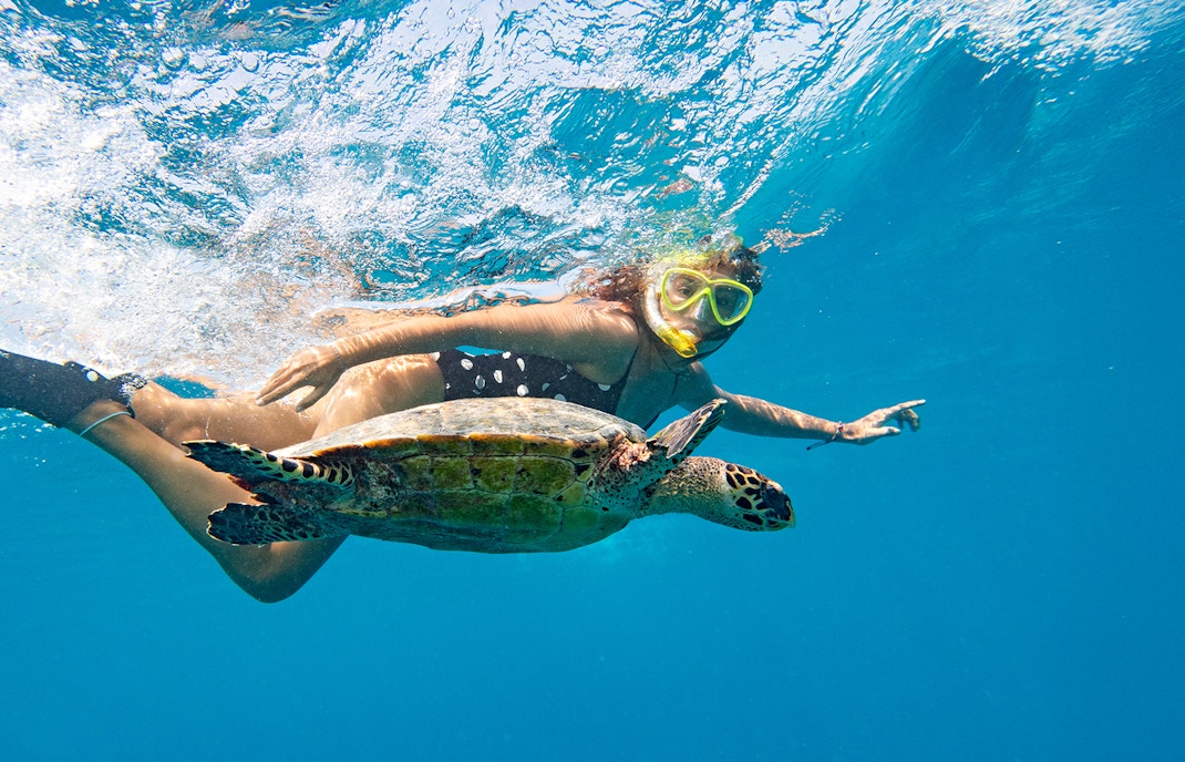 Snorkeler swimming with a turtle