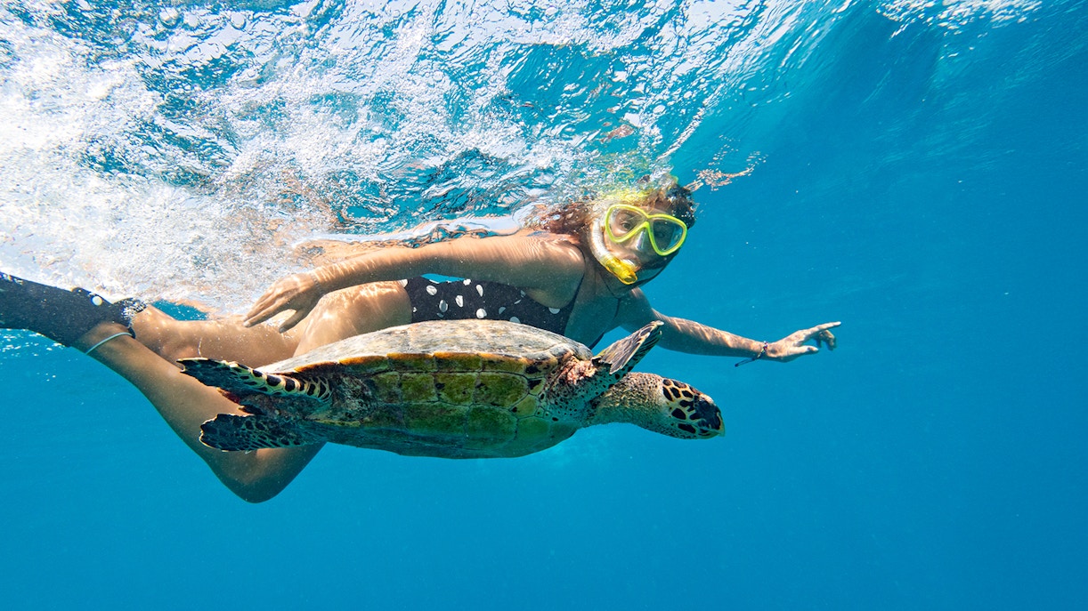 Snorkeler swimming with a turtle in Tenerife waters.