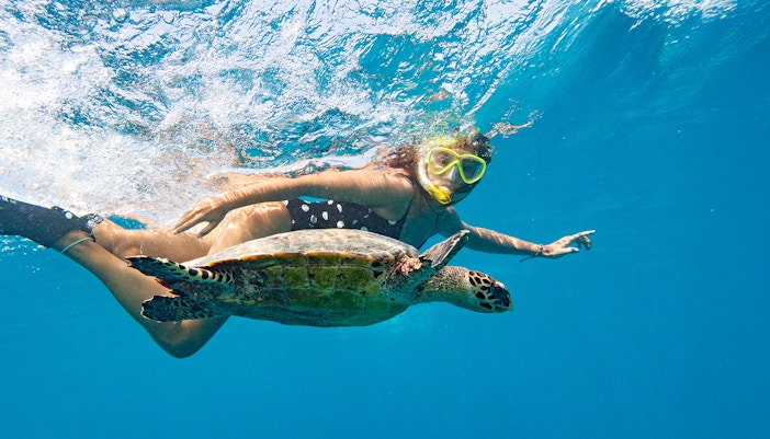 Snorkeler swimming with a turtle in Tenerife waters.